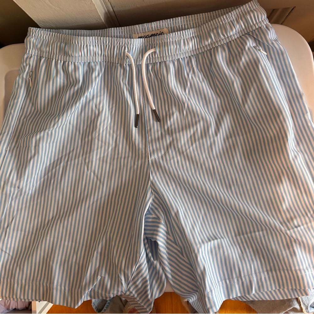 Amazon Essentials Men's Blue Striped Swim Trunks